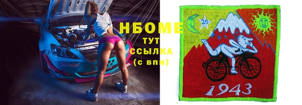 индика Медногорск