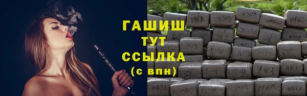 индика Медногорск