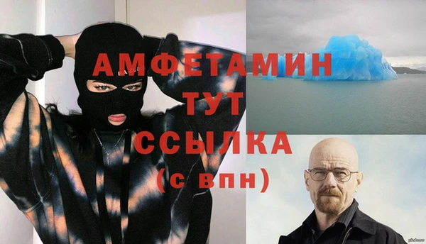 индика Медногорск