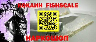 бошки Кингисепп