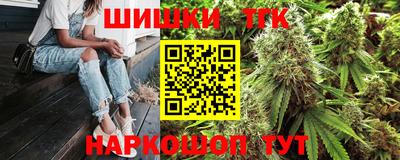 бошки Кингисепп