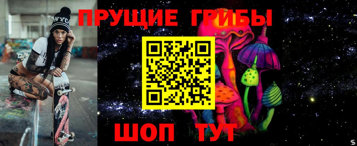 Псилоцибиновые грибы Psilocybe Пыть-Ях